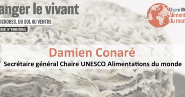 Chaire Unesco image video2