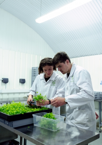 Dos ingenieros trabajando en un laboratorio. Foto: ThisisEngineering RAEng. Unsplash