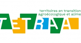 Logotype Tetraa rvb
