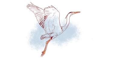 garza-portadaarticulo