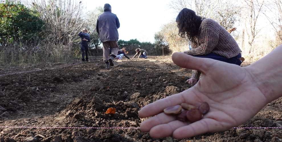 vives-ciudad-agricola