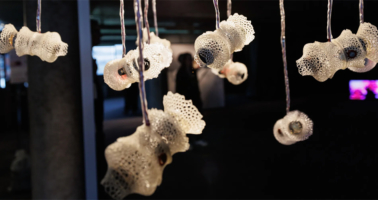 Chemical-Ecosystem-Tom-Mesic