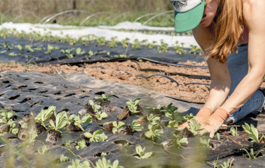 Capture d'écran 2024-03-13 150455