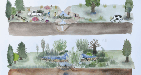 Capture d'écran 2025-09-10 160509