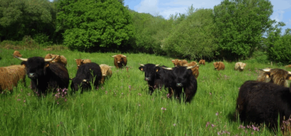 Capture d'écran 2025-09-23 095207