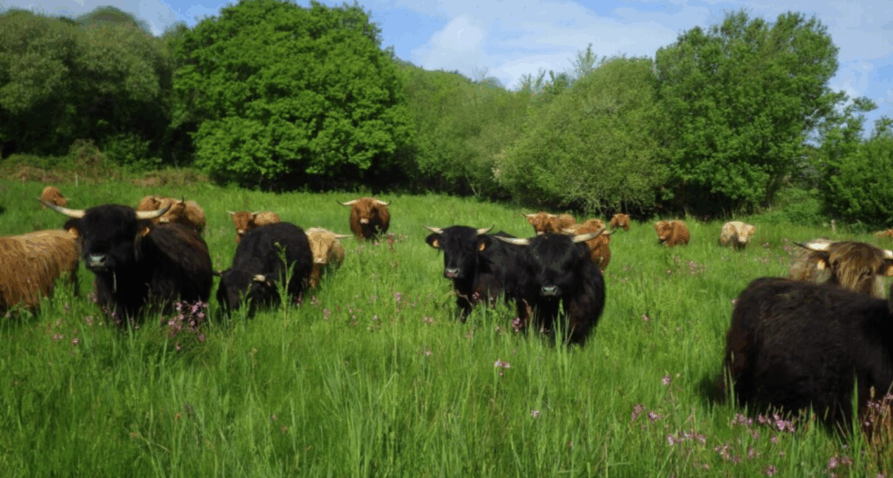 Capture d'écran 2025-09-23 095207