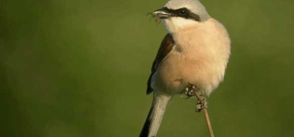 Capture d'écran 2025-09-23 100514