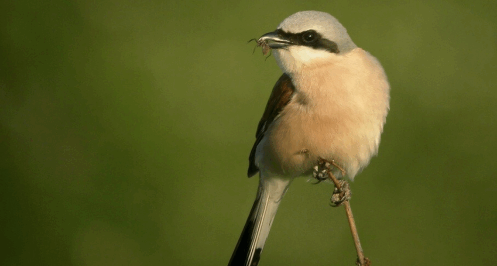 Capture d'écran 2025-09-23 100514