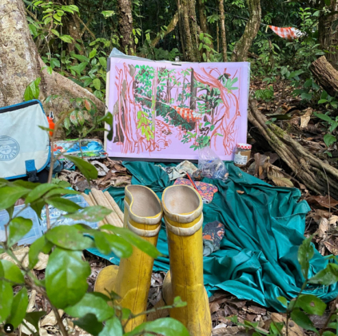 Delphine Zigoni, dessin in situ