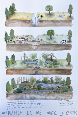 Les leçons du peuple des marécages, 2022 © Suzanne Husky - Collection Frac Poitou-Charentes